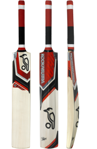 Cricket bat PNG-76675